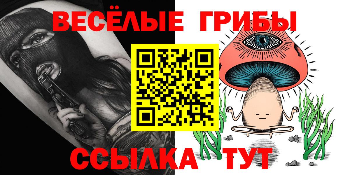 Чебоксары  Псилоцибиновые грибы GOLDEN TEACHER  Вход с VPN 